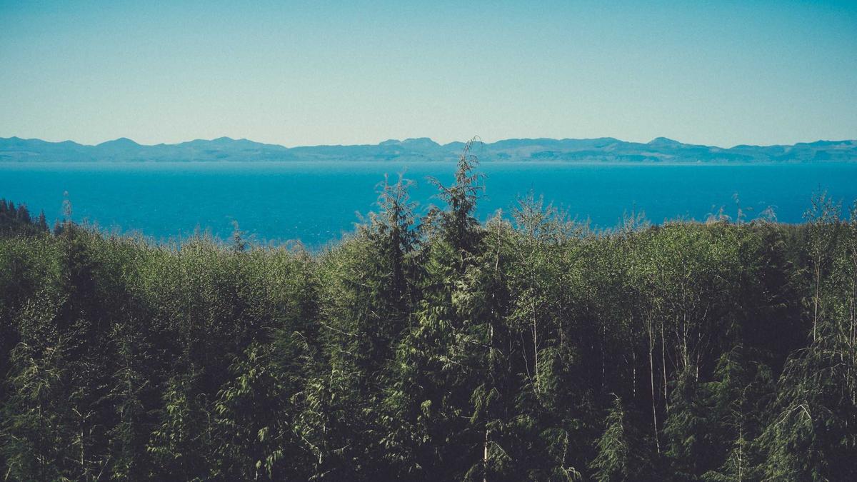 Illustration zu Valentinstag Essen Zuhause