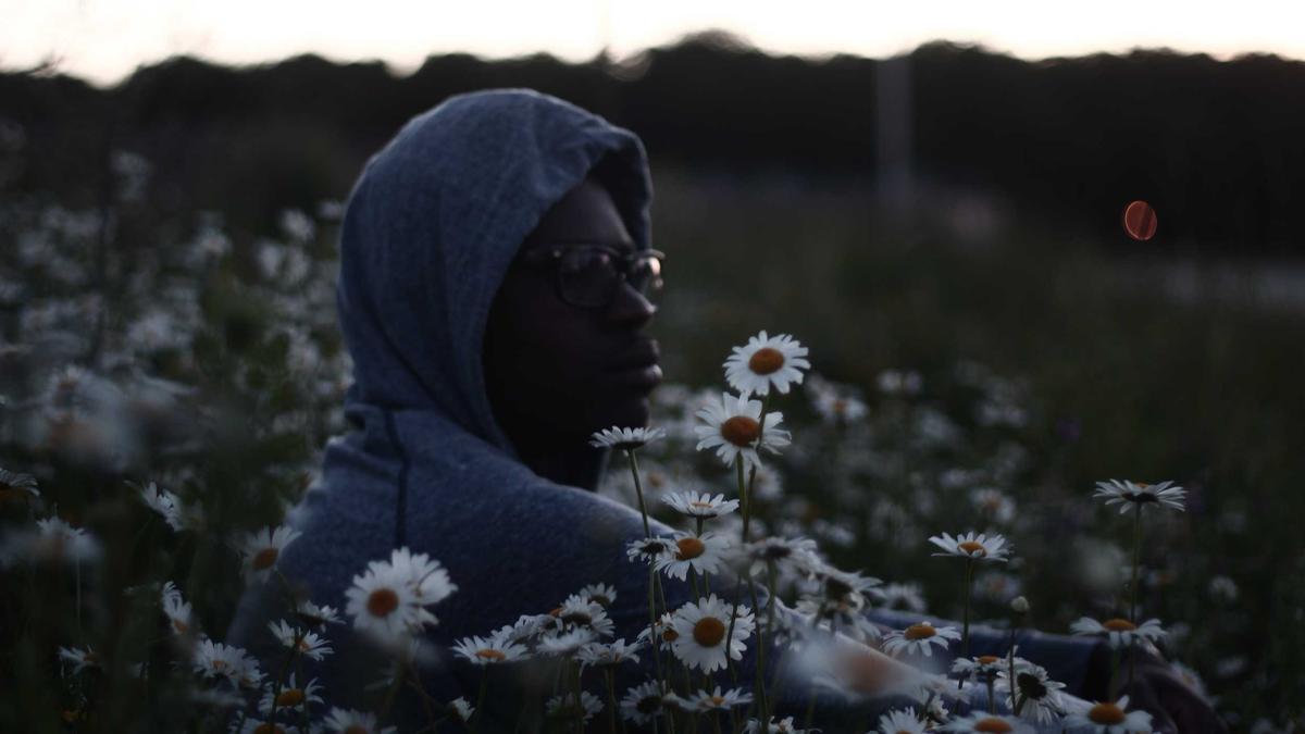 Detailansicht: Vincent Munier Film