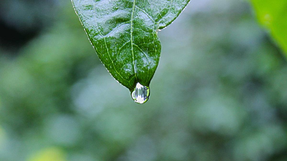 Illustration zu Wetter Morgen