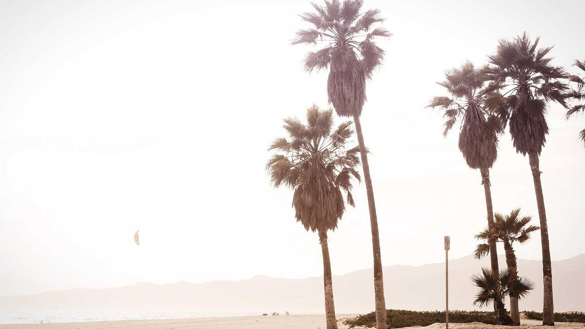 Symbolbild zum Thema Wetter Morgen