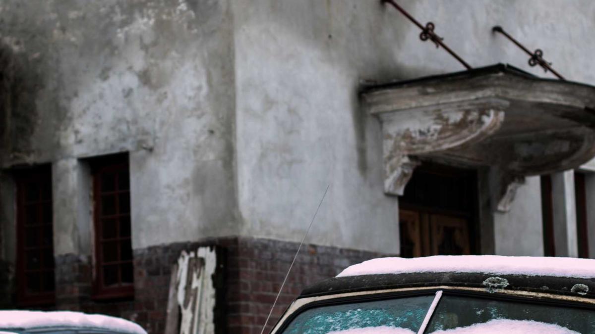 Detailansicht: Wiener Opernball Sharon Stone