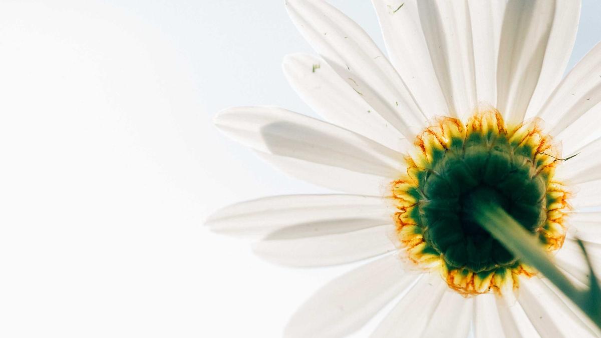 Wo Wird Teilnehmer: 1. FSV Mainz 05 Gegen HSV übertragen Detailansicht: Wo Wird Teilnehmer: 1. FSV Mainz 05 Gegen HSV übertragen