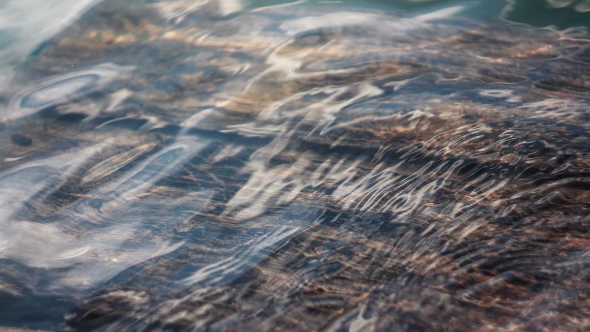 Detailansicht: Yellowstone Fortsetzung