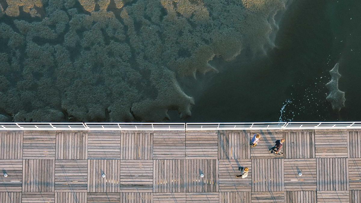 Illustration zu Young Sherlock Serie