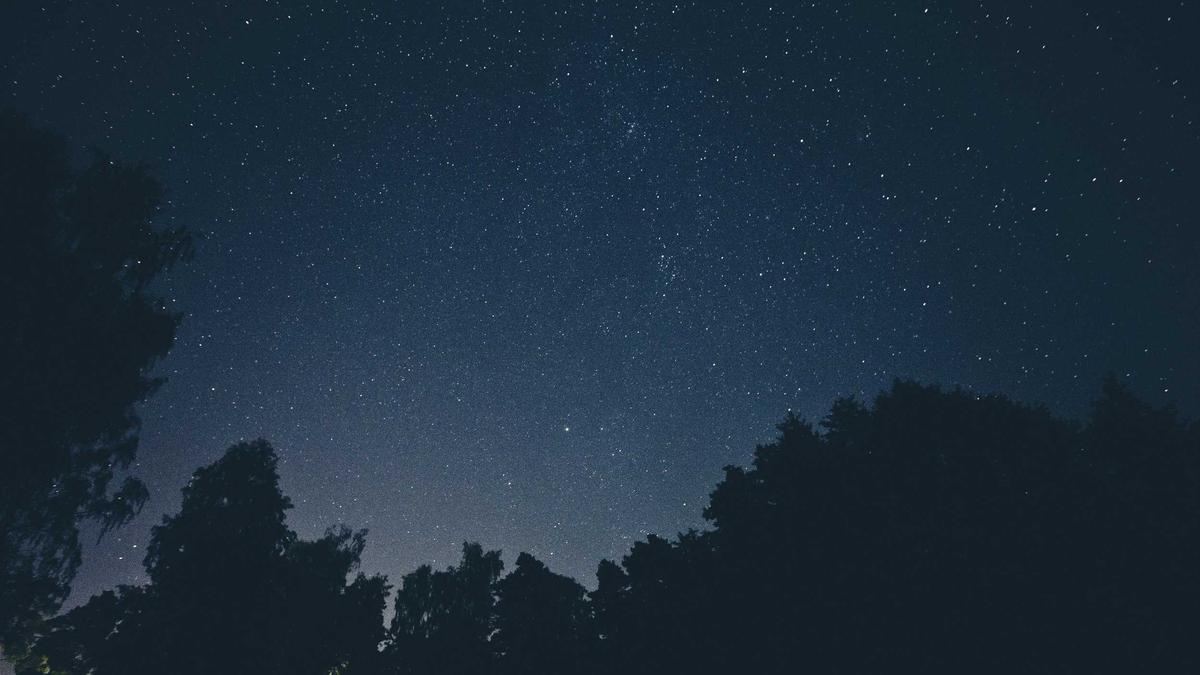 Illustration zu Zayn Malik Neues Album