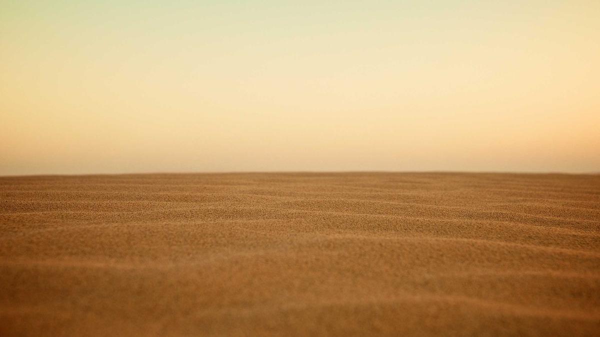 Detailansicht: ZDF Korrespondentin Nicola Albrecht