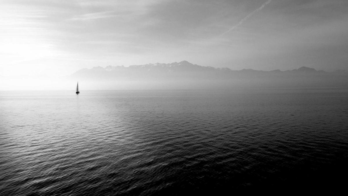 Apex Film 2026 Detailansicht: Apex Film 2026