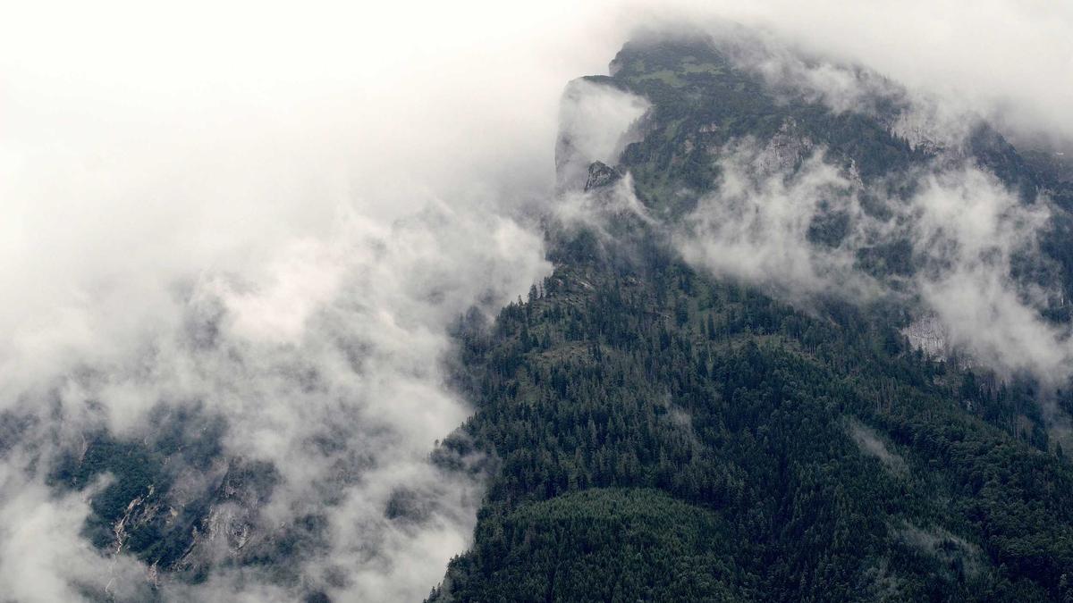 Detailansicht: Bachelors RTL