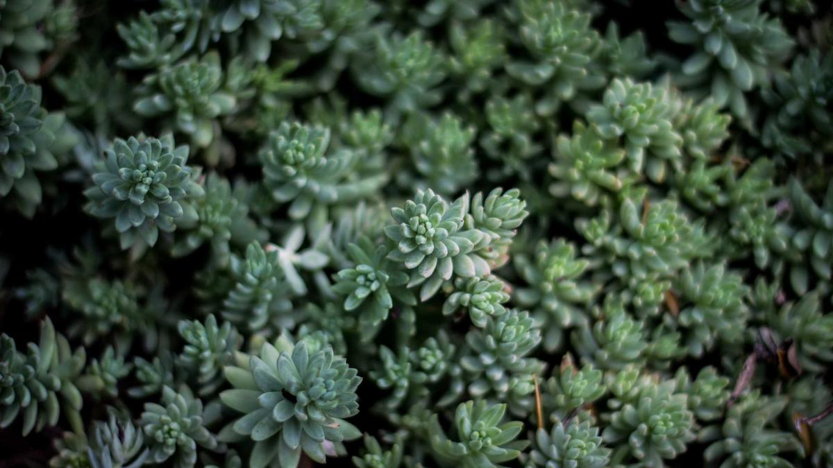 Symbolbild zum Thema Beamtenbesoldung