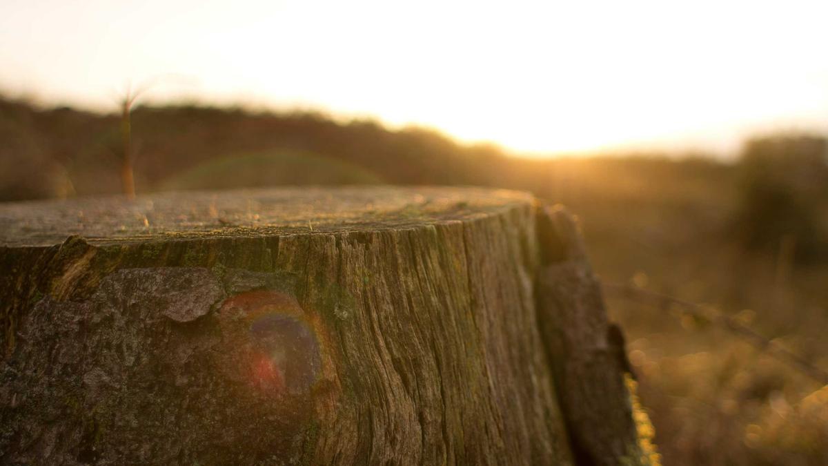 Detailansicht: Beamtenbesoldung