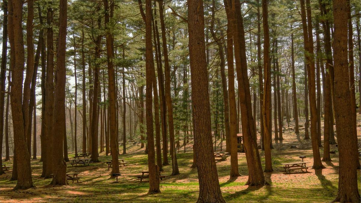 Illustration zu Benjamin Von Stuckrad-barre