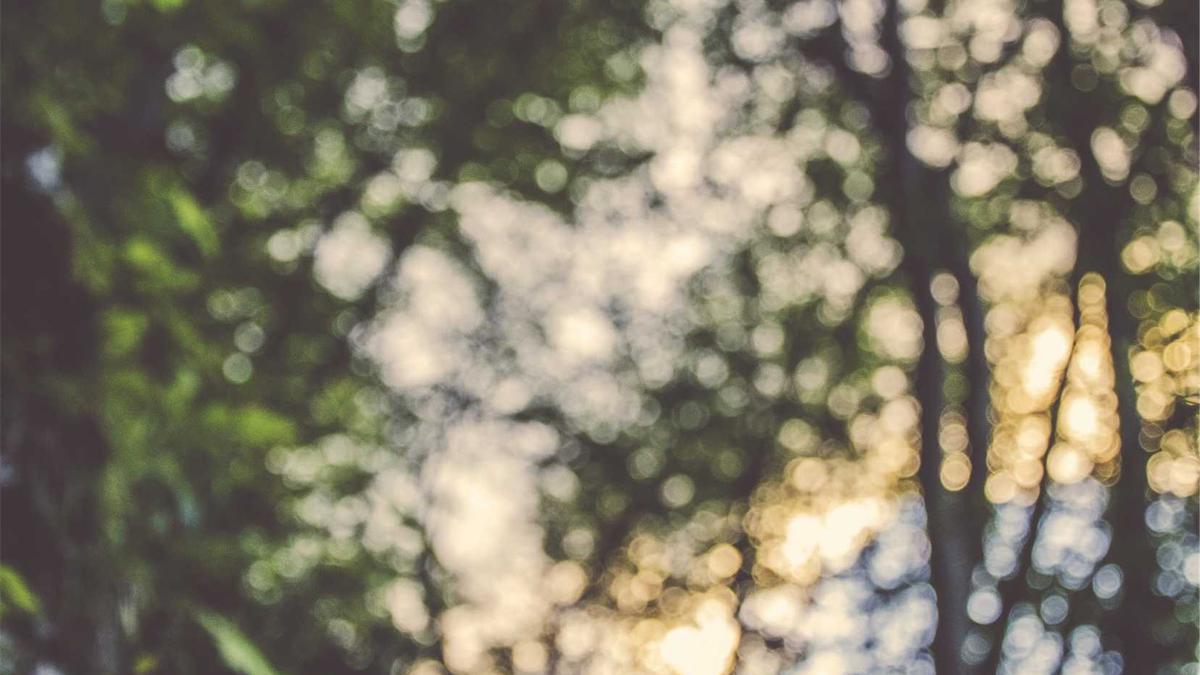 Detailansicht: Bibi Heinicke