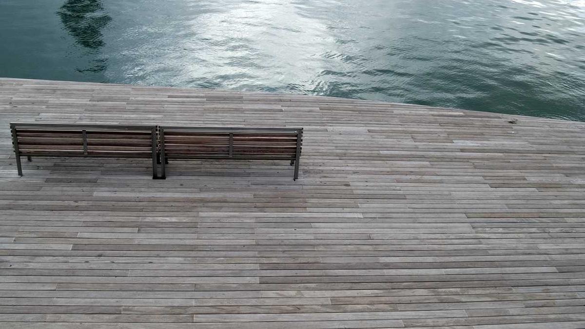 Symbolbild zum Thema Buckelwal Aktuell