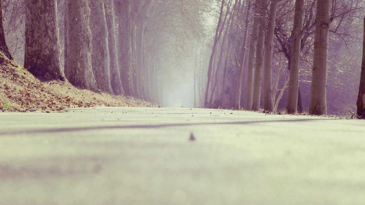 Symbolbild zum Thema Bundesregierung Mehrwertsteuer