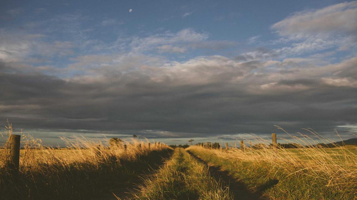 Detailansicht: Dawson Creek Reboot