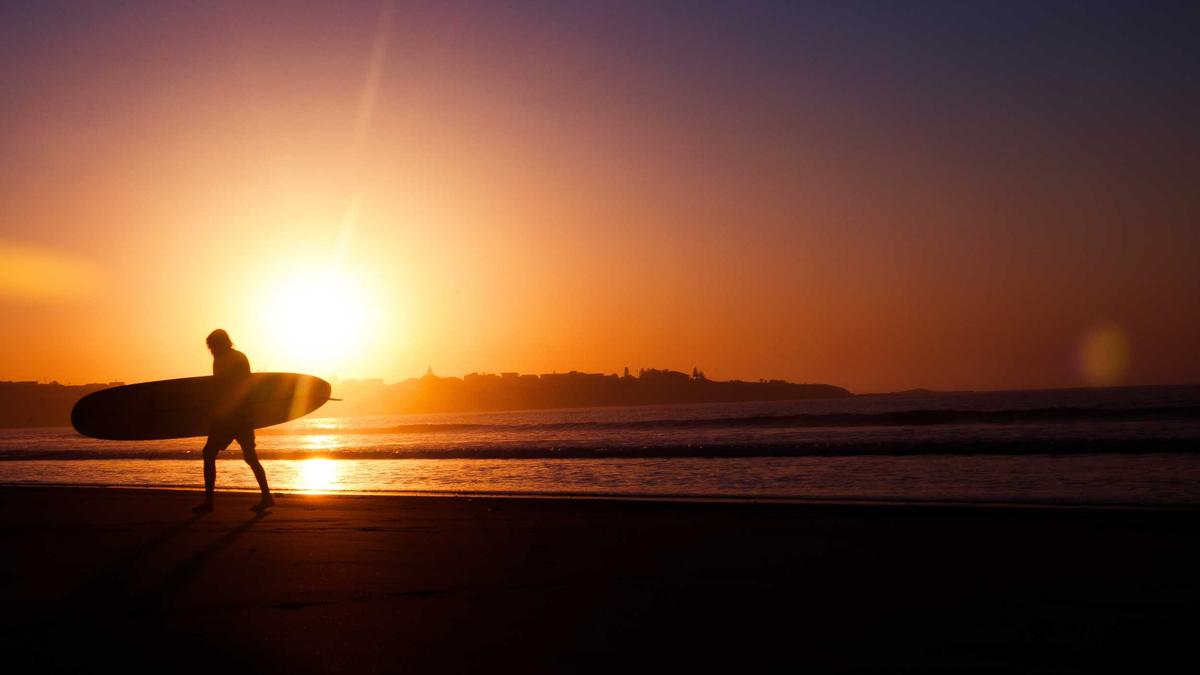 Detlef D Soost Detailansicht: Detlef D Soost