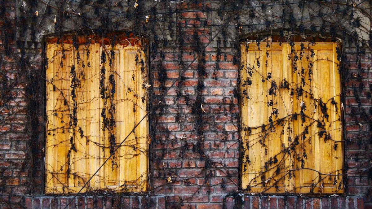 Symbolbild zum Thema Deutschland – Slowenien