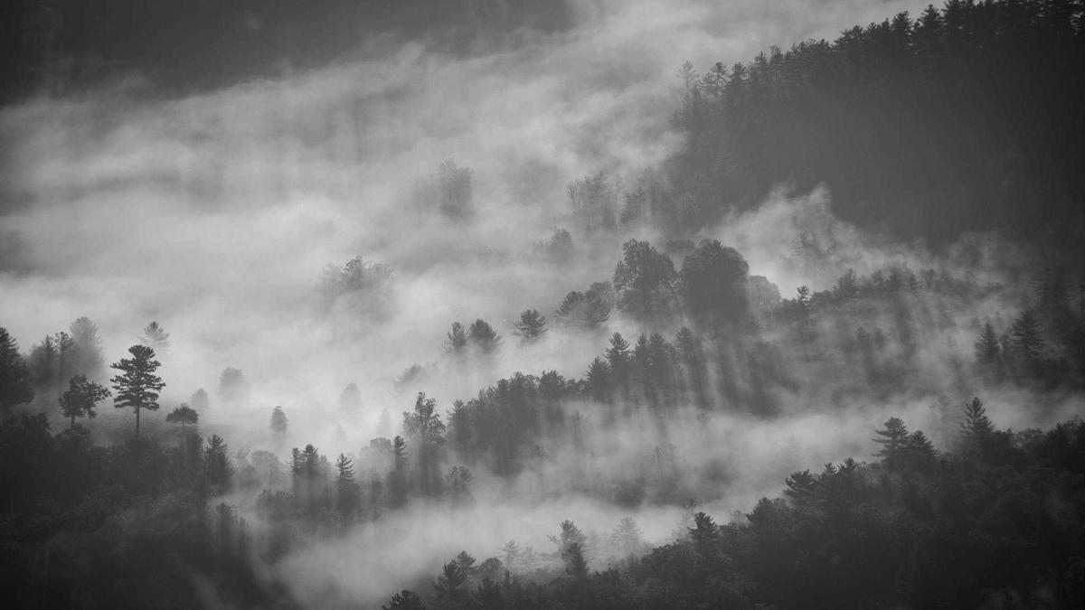 Symbolbild zum Thema Dieter Bohlen