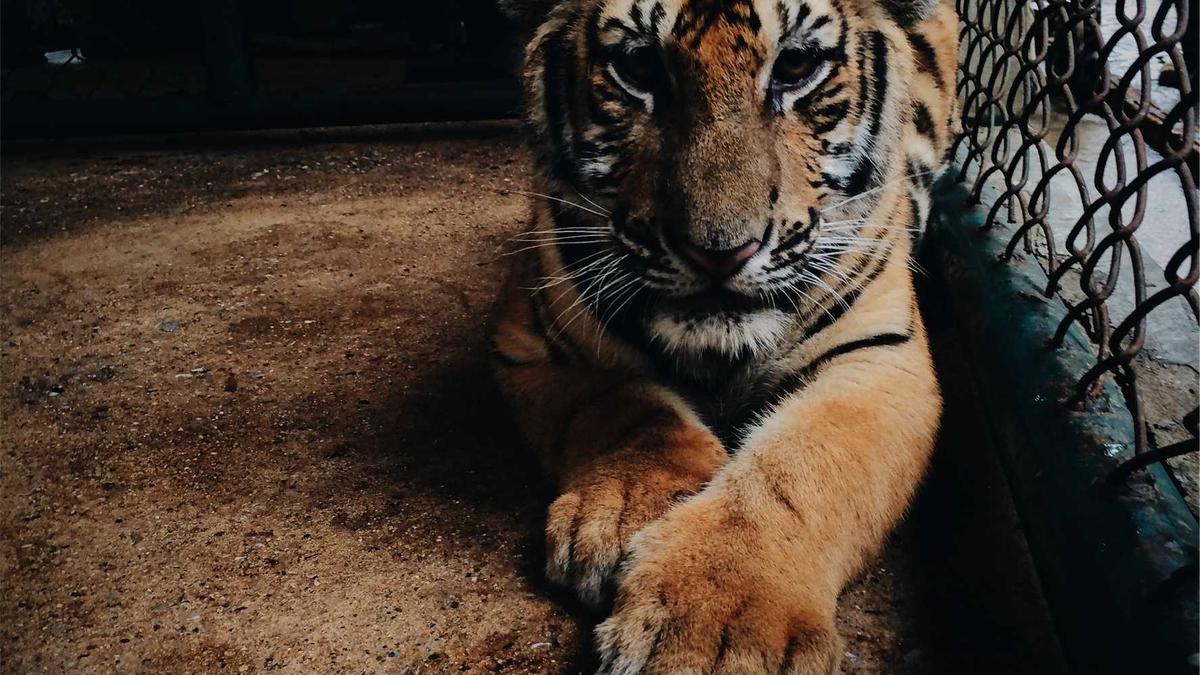 Dunkle Vermächtnis Film Symbolbild zum Thema Dunkle Vermächtnis Film