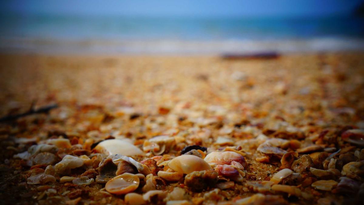 Illustration zu Eismaschine Aldi Nord