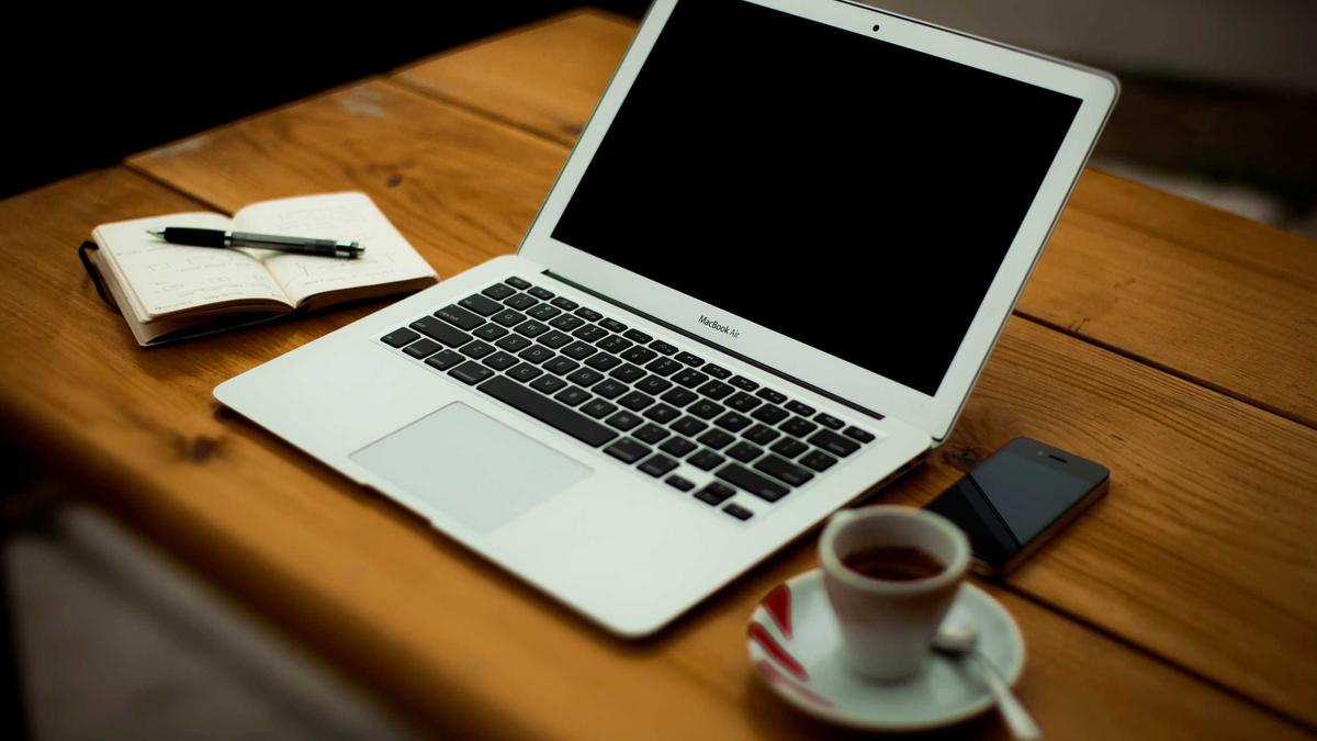 Elch Emil Detailansicht: Elch Emil