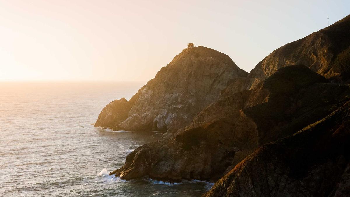 Elijah Blue Allman Festnahme Detailansicht: Elijah Blue Allman Festnahme