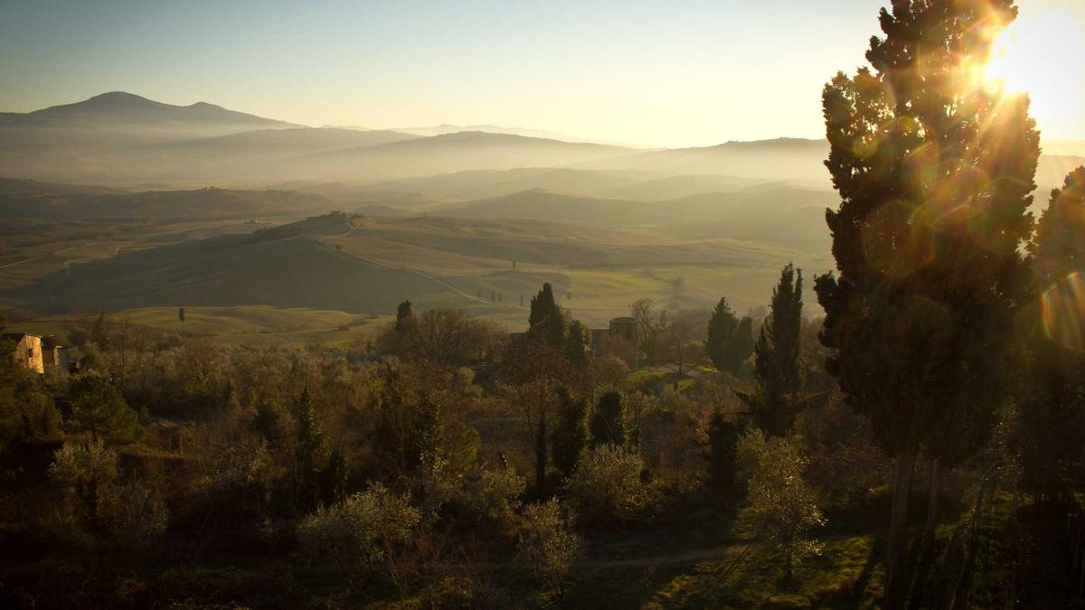 Energie – SSV Ulm 1846 Detailansicht: Energie – SSV Ulm 1846