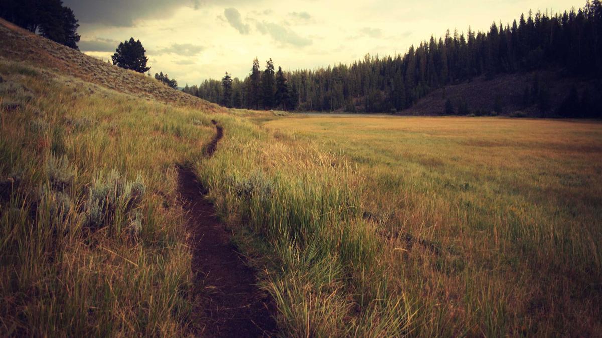 Symbolbild zum Thema F1 Heute