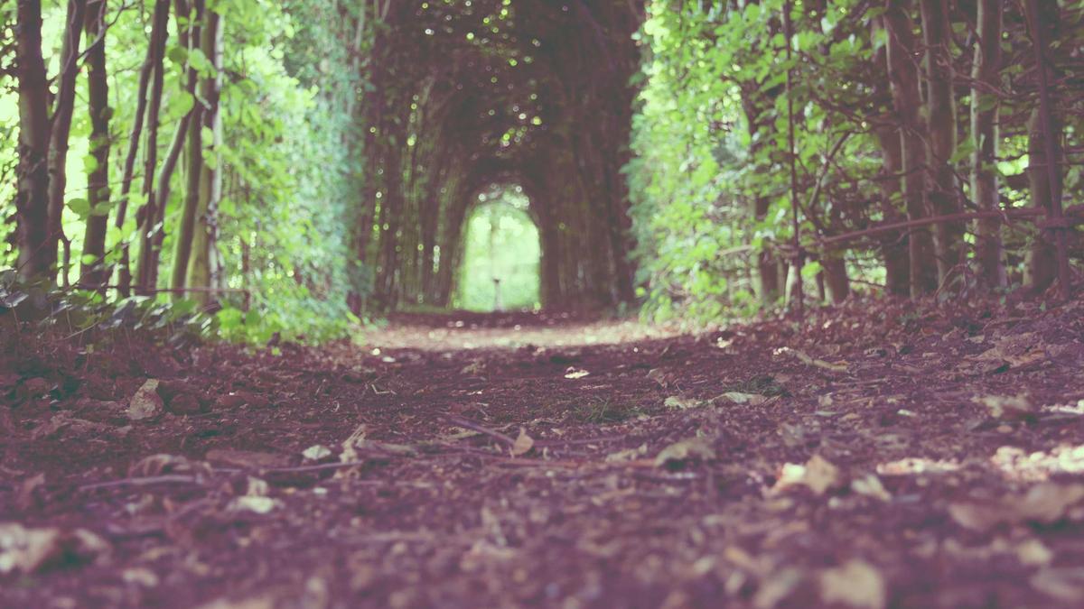 Detailansicht: Frauen In Tech