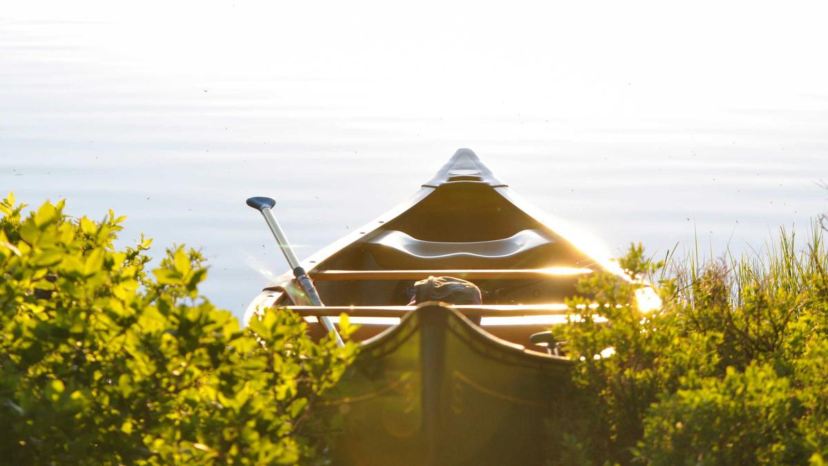 Glücklichsten Länder Illustration zu Glücklichsten Länder