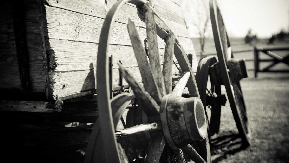 Illustration zu Gustav Schäfer