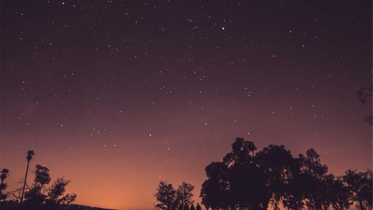 Detailansicht: Jamie Lee Curtis