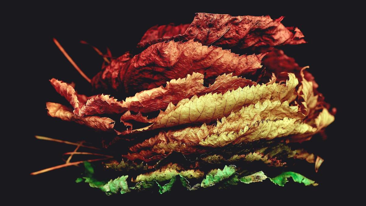 Joel Madden Nicole Richie Symbolbild zum Thema Joel Madden Nicole Richie