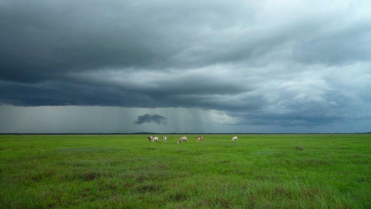 Detailansicht: Ketchup Test Stiftung Warentest