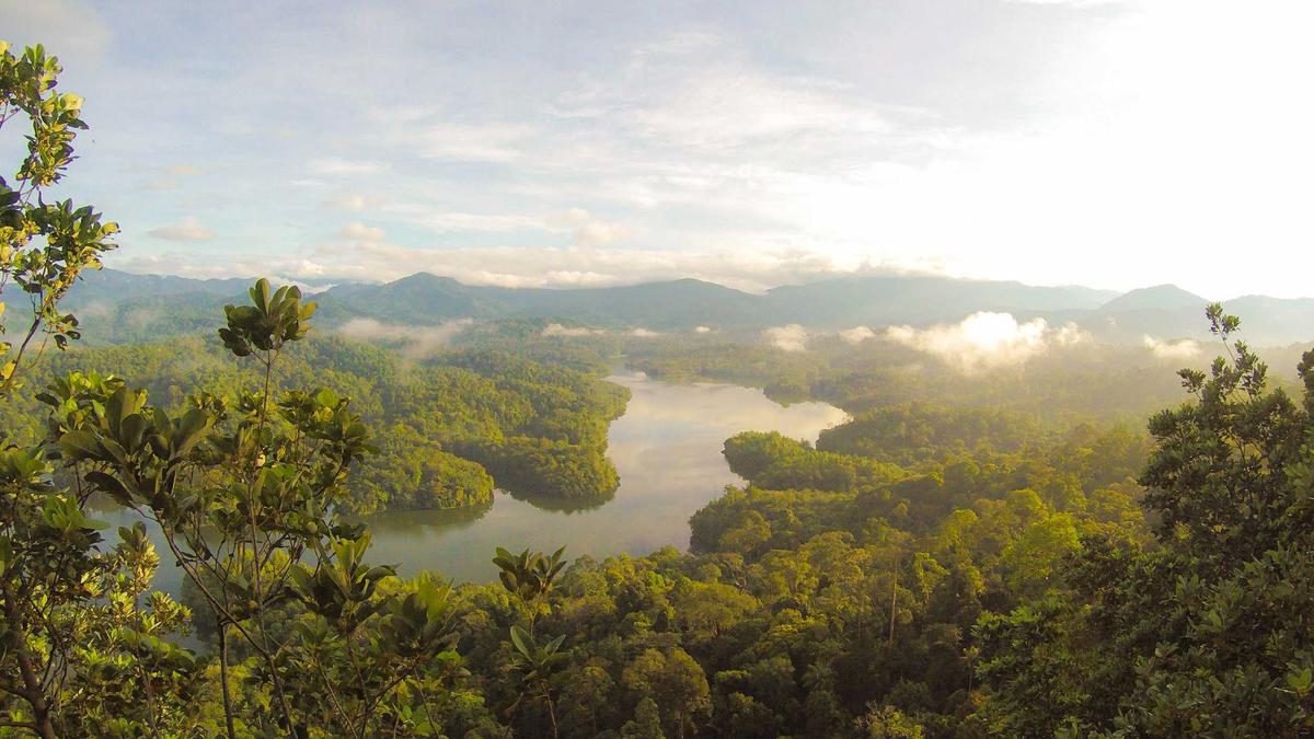 Illustration zu Koyi Gin Höhle Der Löwen
