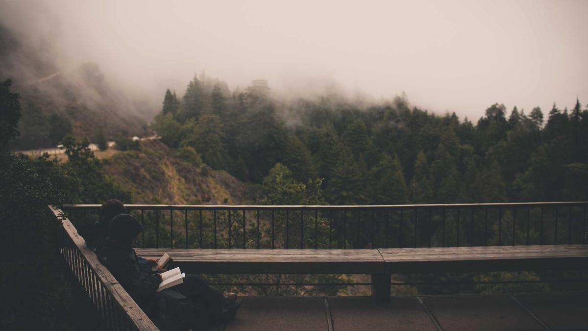 Detailansicht: Leonid Radvinsky