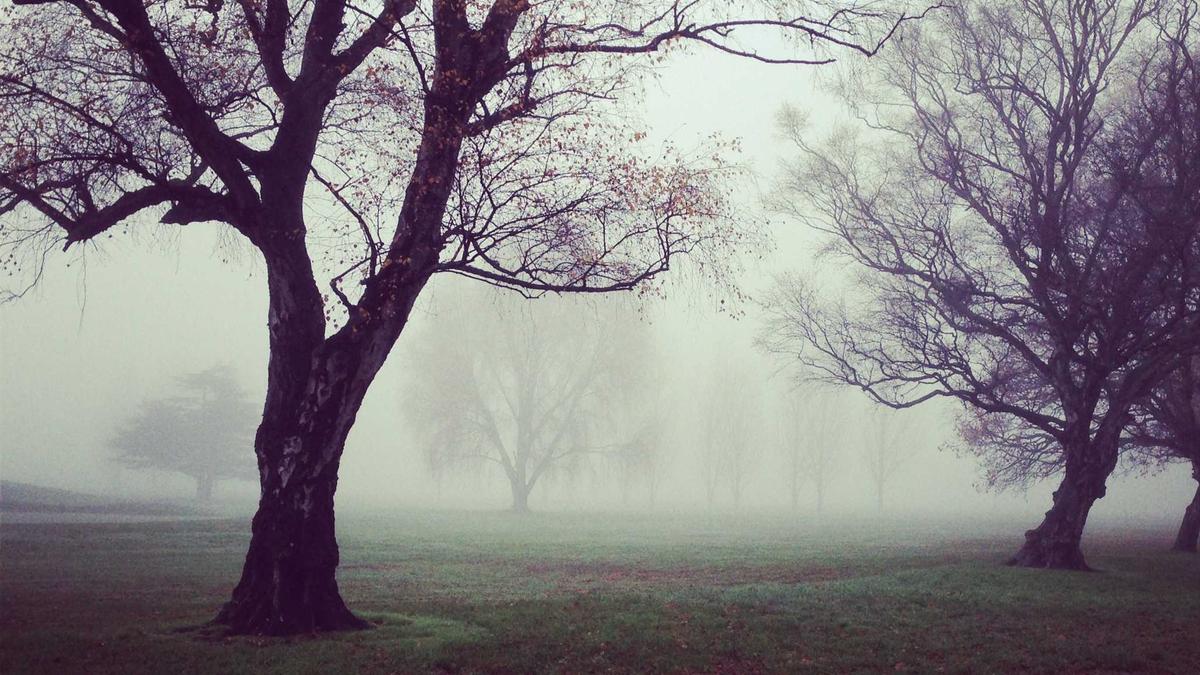 Detailansicht: Markus Lanz Heute