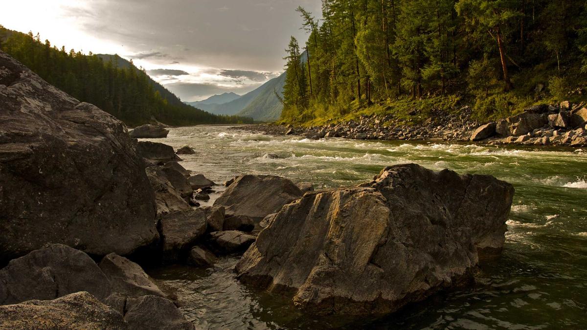 Symbolbild zum Thema Miley Cyrus