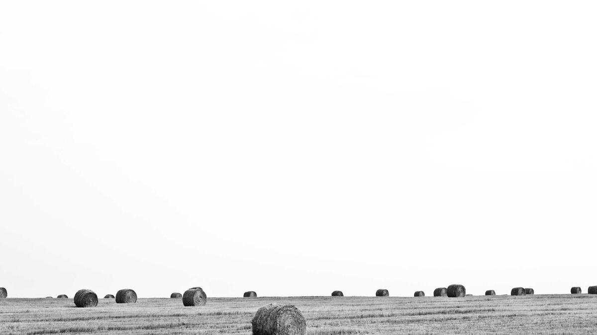 Illustration zu Natascha Kampusch Zusammenbruch