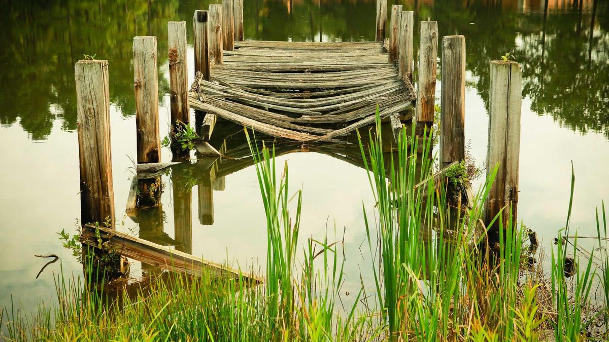 Detailansicht: Papst Leo Xiv