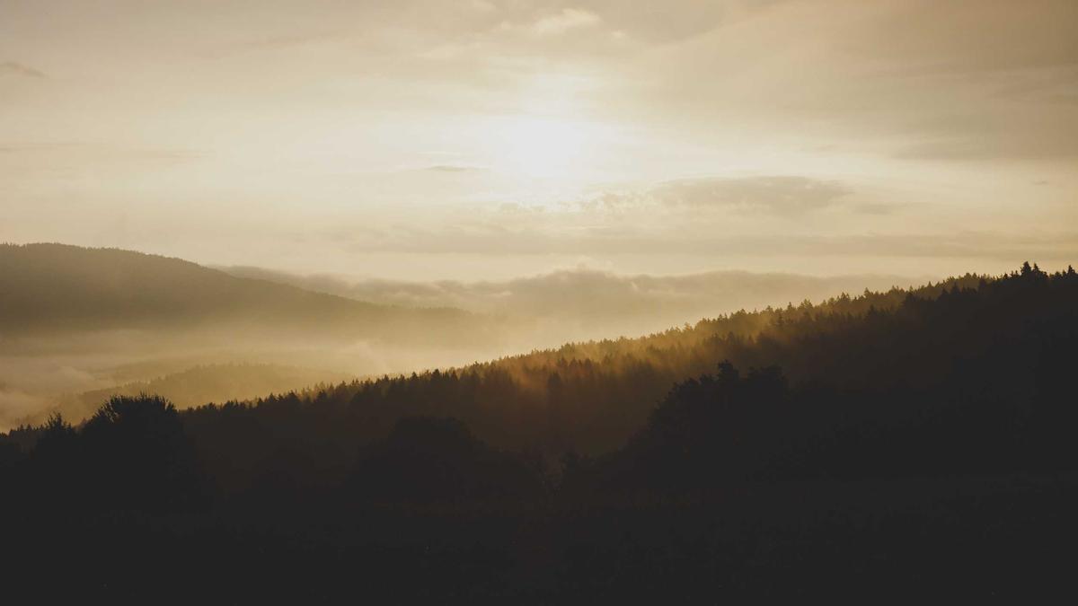 Detailansicht: Putin News