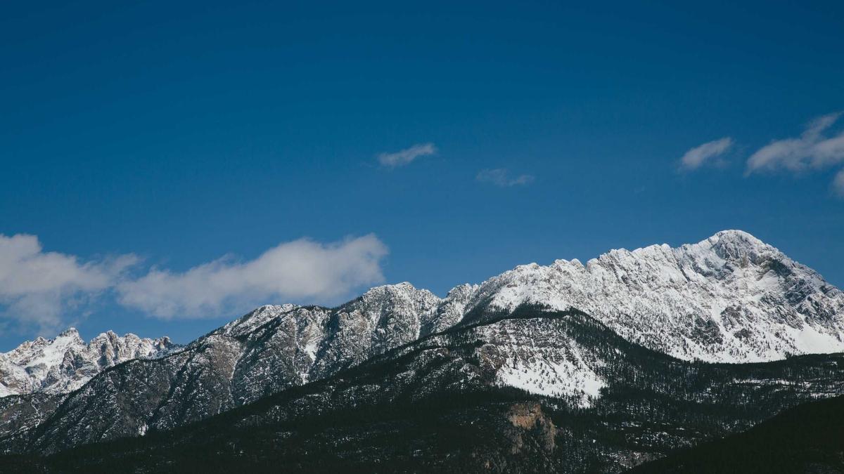Symbolbild zum Thema Ried – Lask