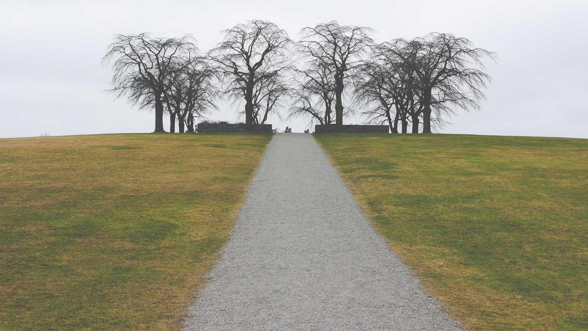 Skifliegen Heute Symbolbild zum Thema Skifliegen Heute