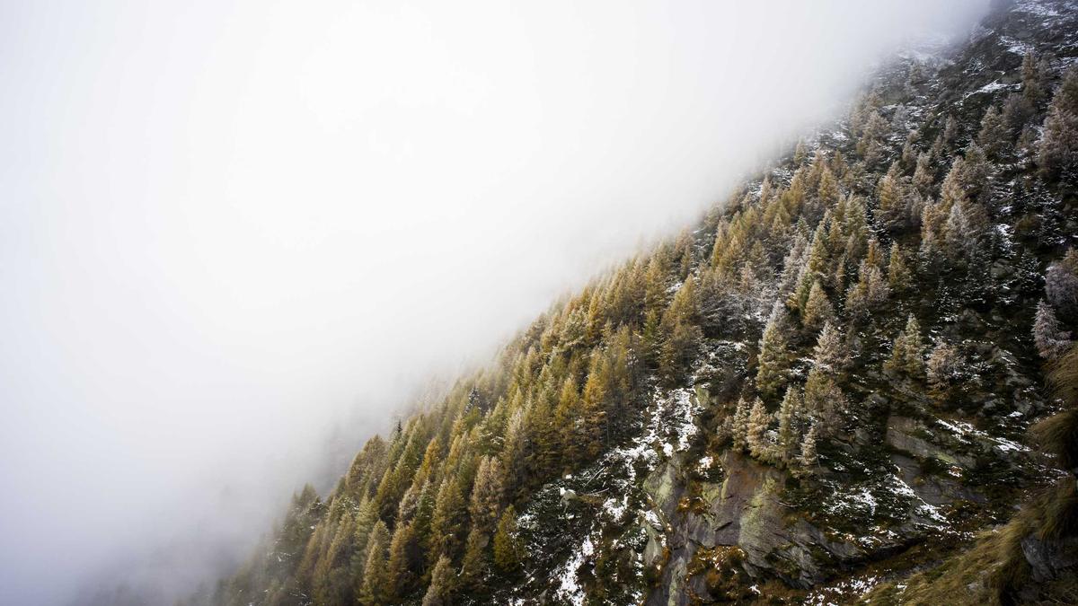 Detailansicht: Super Mario Galaxy Film