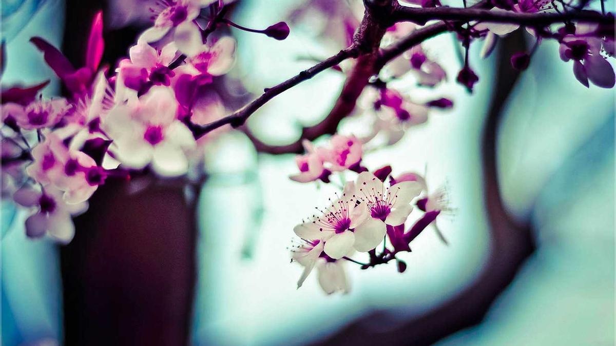 Detailansicht: Toter Jugendlicher Eckernförde