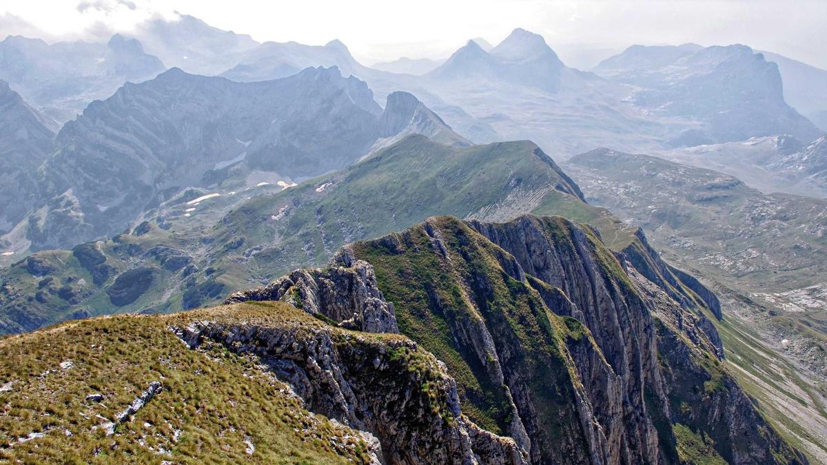 Detailansicht: Verlorenes Kuscheltier Geschichte