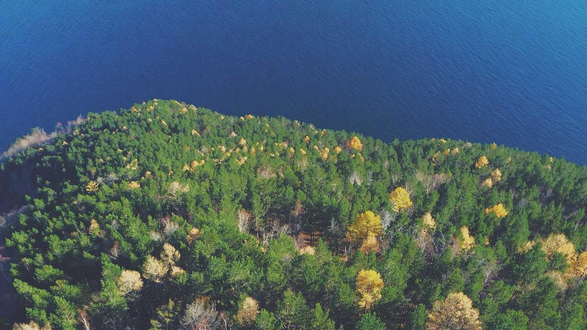 Symbolbild zum Thema Veronica Ferres