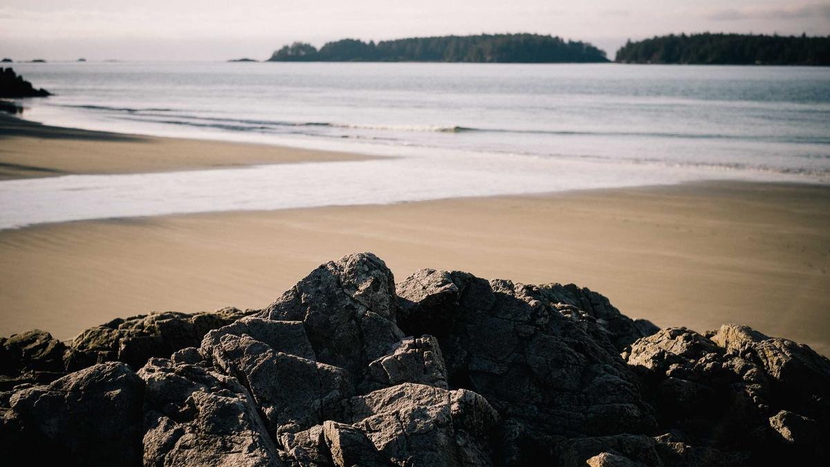 Illustration zu Viktoria Köln – 1860 München