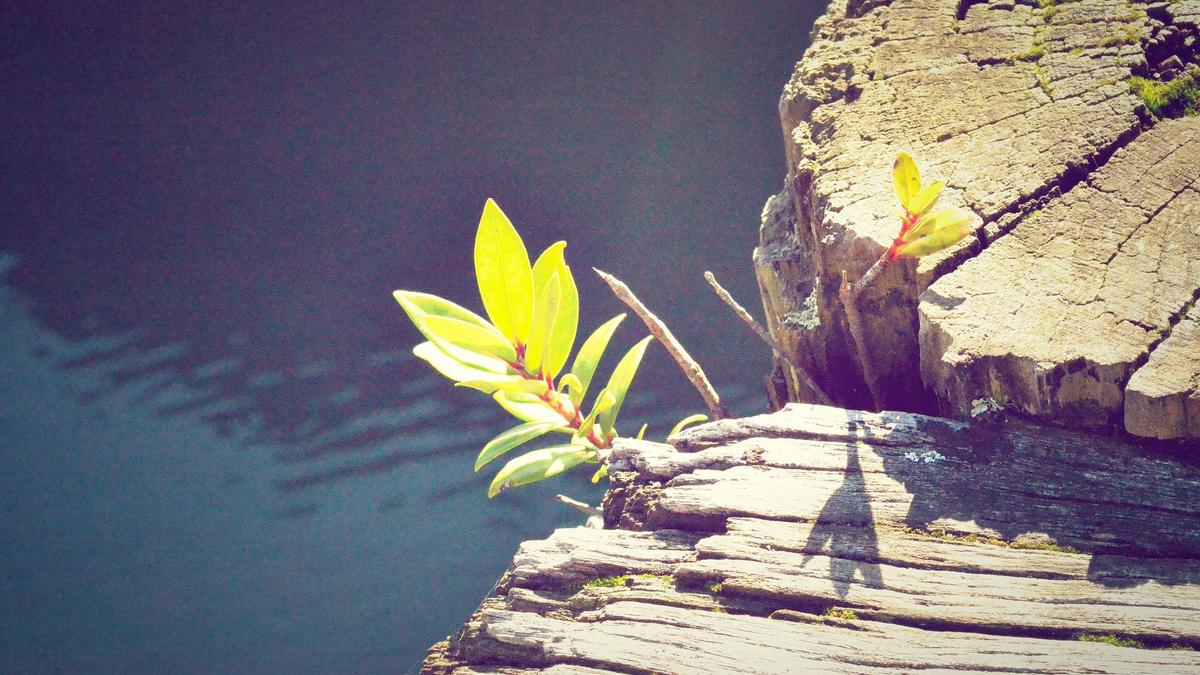 Illustration zu Welche Moderatoren Verlassen ZDF