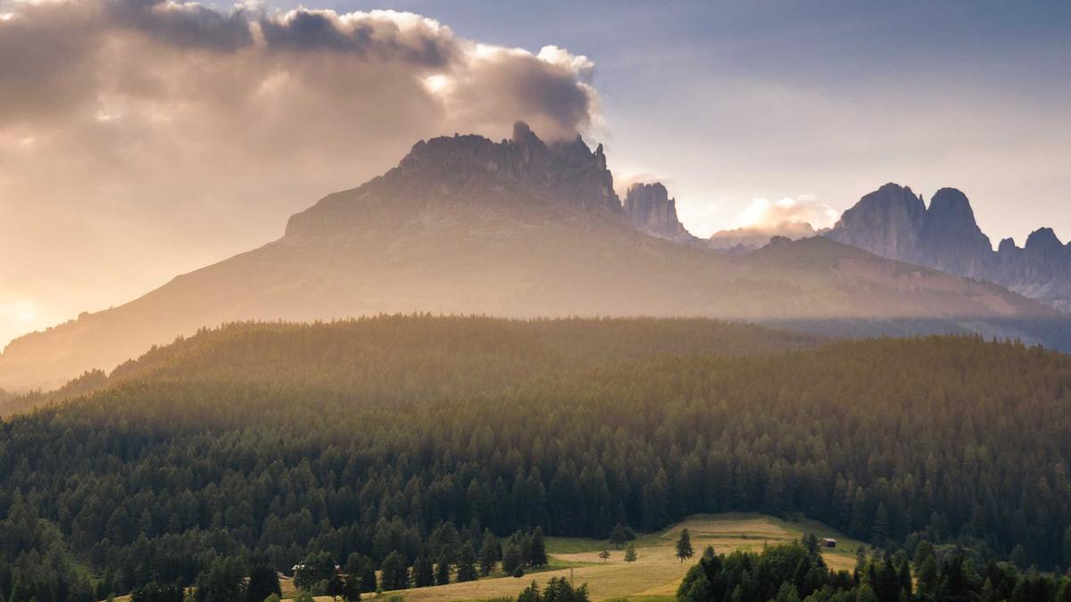 Detailansicht: ZDF Maybrit Illner Heute Gäste
